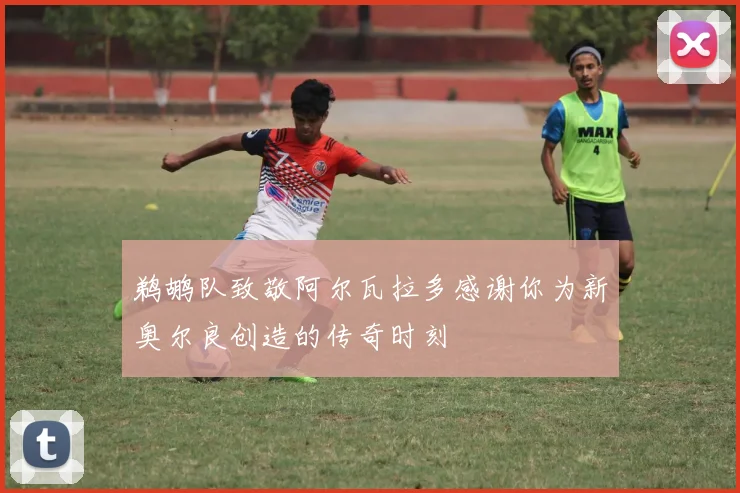 鹈鹕队致敬阿尔瓦拉多感谢你为新奥尔良创造的传奇时刻