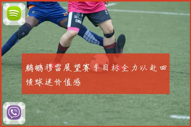 鹈鹕穆雷展望赛季目标全力以赴回馈球迷价值感