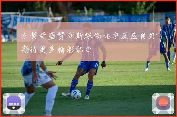 东契奇盛赞海斯球场化学反应良好期待更多精彩配合