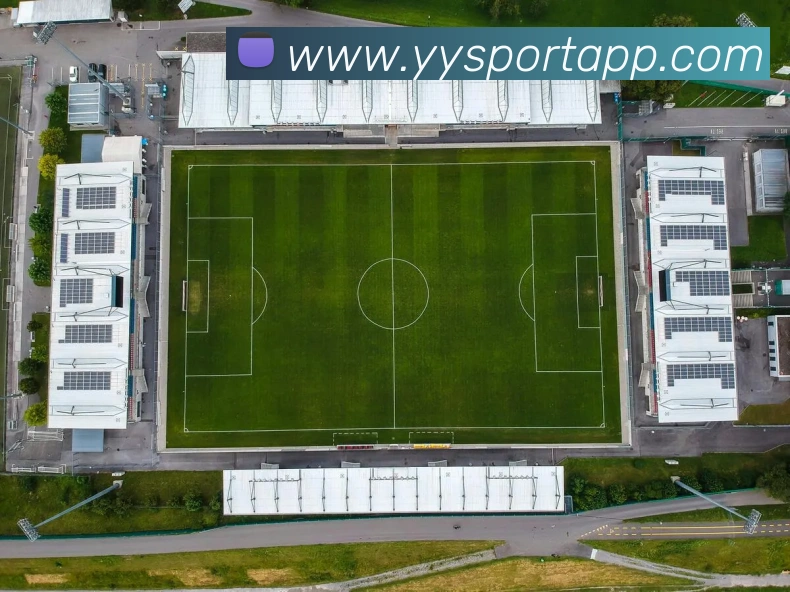 易游体育服务体系