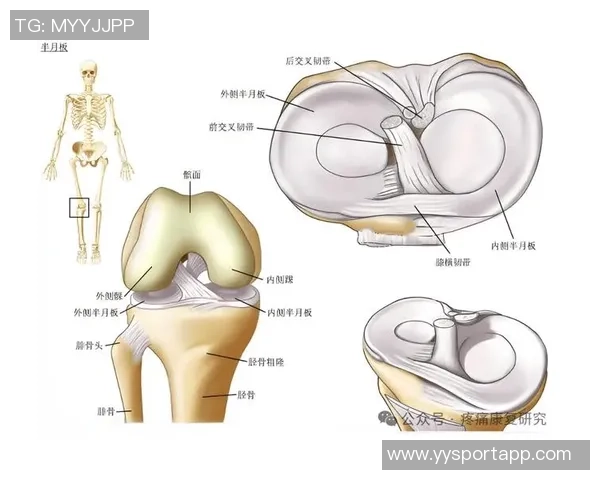 加比亚左膝过度伸展受伤情况更新已排除韧带和半月板损伤风险 加比亚左膝过度伸展受伤情况更新已排除韧带和半月板损伤风险